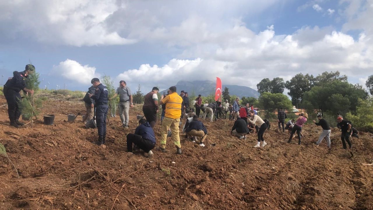 Datça’da fidanlar toprakla buluştu