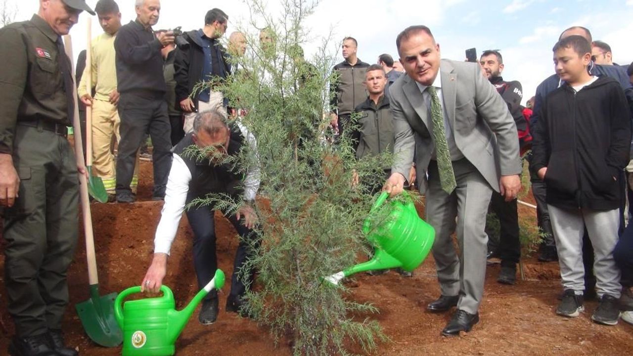 Yeşil Vatan Seferberliği Muğla’da: 13 Noktada Fidan Dikimi Gerçekleştirildi