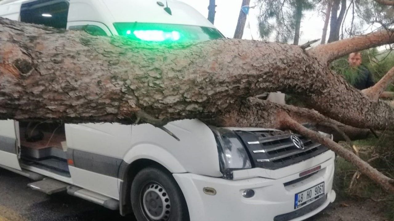 Seyir halindeki minibüsün üstüne ağaç devrildi
