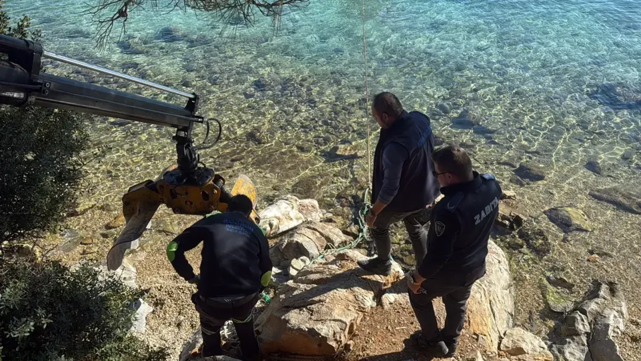  Bodrum sahiline vuran caretta caretta vinçle kaldırıldı
