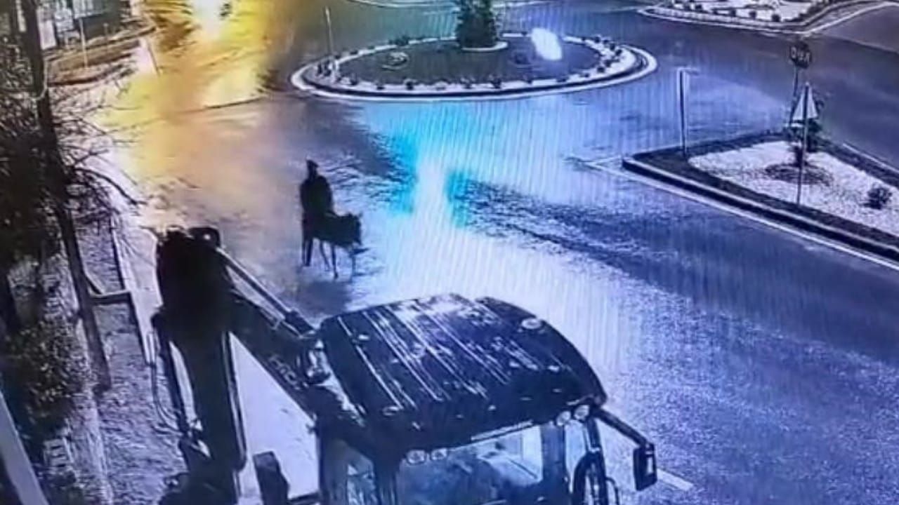 Forklifle Girdi, Eşekle Kaçtı! - Muğla Haber, Muğla Son Dakika Haberleri