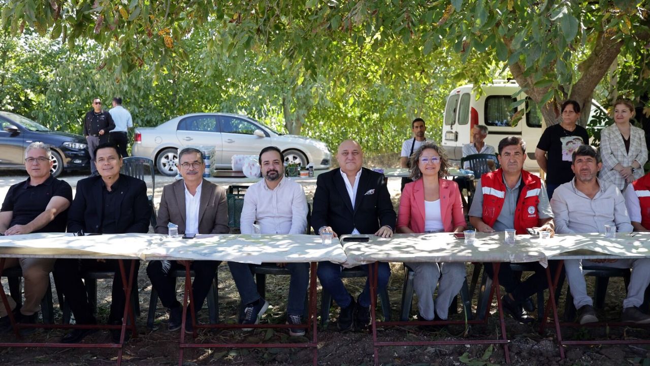 Yatağan’da 55 dönümlük arazide silajlık mısır hasadı yapıldı