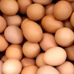 Yumurta fiyatlarına zam geldi! Fiyatlar bel büküyor