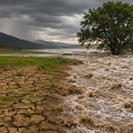 El Niño yıl sonunda zirveye ulaşacak: Dev iklim olayının Türkiye'ye etkileri neler olacak?
