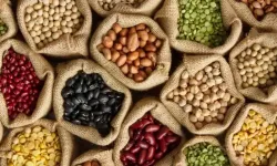 Fethiye Belediyesi'nden Yiyecek Malzemesi İhalesi