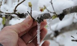 AFAD’dan Muğla İçin Don ve Soğuk Hava Uyarısı: Tarih Verildi, Riskler Açıklandı