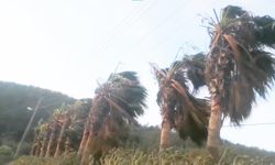 Bodrum, Datça ve Marmaris kıyılarına fırtına uyarısı