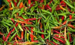 Sofraların Vazgeçilmezi Ama Etkisi Gizli: Acı Biber Kaygıyı Tetikleyebilir