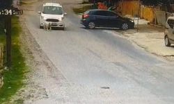 Datça Kargı’da Köpek Ölümü Tepki Çekti: “Kameralar Varken Neden İşlem Yok?”