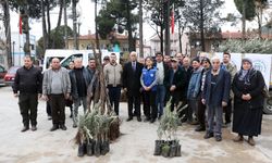 Büyükşehir’den Ula’da Üreticiye Zeytin ve Ceviz Fidanı Desteği