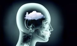 Unutkanlık ve Odak Sorunu Yaşıyorsanız Dikkat!