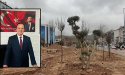 Muğla’da İşhanı Arsası Krizi: Esnaftan Belediyelere İşgal İddiası