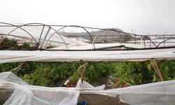 Muğla’da Fırtına ve Hortum Seraları Vurdu