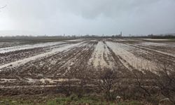 Menteşe'de tarım arazileri için ekipler sahaya indi