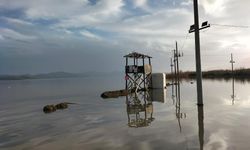 Köyceğiz Gölü Taştı, Atatürk Kordonu Sular Altında