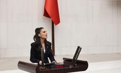 Özcan’dan Bakanlığa Marmaris uyarısı: “Selimiye’de Ekolojik Yıkım Riski”