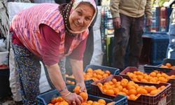 Bodrum Mandalini Türkiye’nin Dört Bir Yanına Ulaşıyor