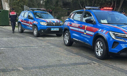 Bodrum'da iki köpeğin silahla vurulduğu iddiası