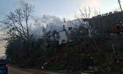 Menteşe'de çıkan yangında ev küle döndü