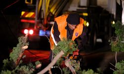 Bodrum Belediyesi fırtınaya karşı sahaya indi