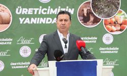 Ahmet Aras: “Bu Kararın Bedeli 1 Milyon Ağaç”