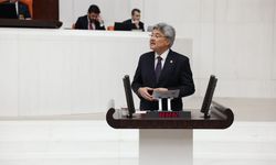 Metin Ergun’dan Milli Parklar Yasasına Sert Tepki