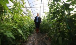 Vali Akbıyık’tan Köyceğiz’de zarar gören seralara ziyaret