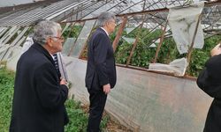 Metin Ergun'dan Kumluova için "Afet Bölgesi" Çağrısı