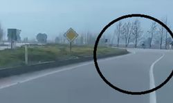 Akrobatik hareketler yapan motosiklet sürücüsü tarlaya uçtu