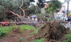 Sabah Saatlerinde Korku Dolu Anlar