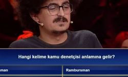 Hangi kelime kamu denetçisi anlamına gelir?