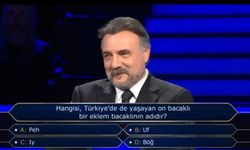 Hangisi Türkiye'de de yaşayan bir ekle bacaklının adıdır? Kim Milyoner Olmak İster cevabı nedir?