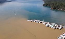 Muğla Gökova'da denizin rengi değişti! O anlar herkesi şaşırttı