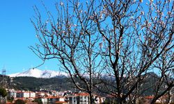 Muğla’da Kış ve Bahar Yan Yana