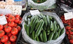 Muğla’da Salatalık Fiyatı Rekor Kırdı: Kilosu 150 Lira