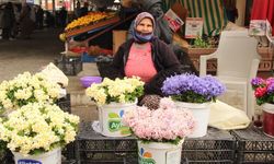 Menteşe Pazarında Baharın Habercisi Nergis Yoğun İlgi Görüyor