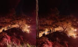 Bodrum'da Korkutan Yangın: Müdahale Başladı