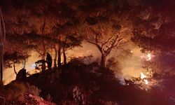 Bodrum’daki Orman Yangını Kontrol Altına Alındı