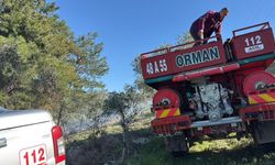 Bodrum Mumcular’da Orman Yangını Paniği