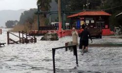 Ne yağmur dinlediler ne de sel: Şifa arayanlar Muğla'ya koştu!