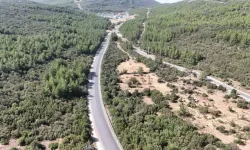 Milas Orman İşletme Müdürlüğünden İhale İptali İlamı