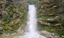 Yoğun yağışlar Sarnıç Çiliguz Şelalesi’ni canlandırdı