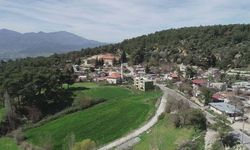 Muğla'da ekonomik açıdan en zorlanan 3 ilçe!