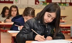 Bilsem bireysel değerlendirme giriş belgeleri ne zaman erişime açılacak?