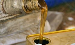 Türk çam balının dünya pazarındaki ekonomik payı arttırılacak