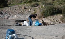 Tilkişen otu toplamaya gittiler, koyu temizlediler