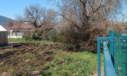 Menteşe’de Çalılık Yangını: İpek Böceği Çadırı Zarar Gördü