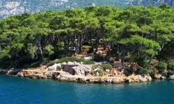 Tatil Planınızı Şimdiden Yapın: Akyaka Orman Kampı 2026 Fiyatları Belli Oldu