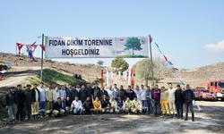 Milas'ta yanan sahalar fidanlarla canlanıyor