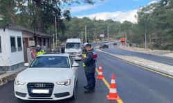 202 sürücünün sürücü belgesi geçici olarak iptal edildi
